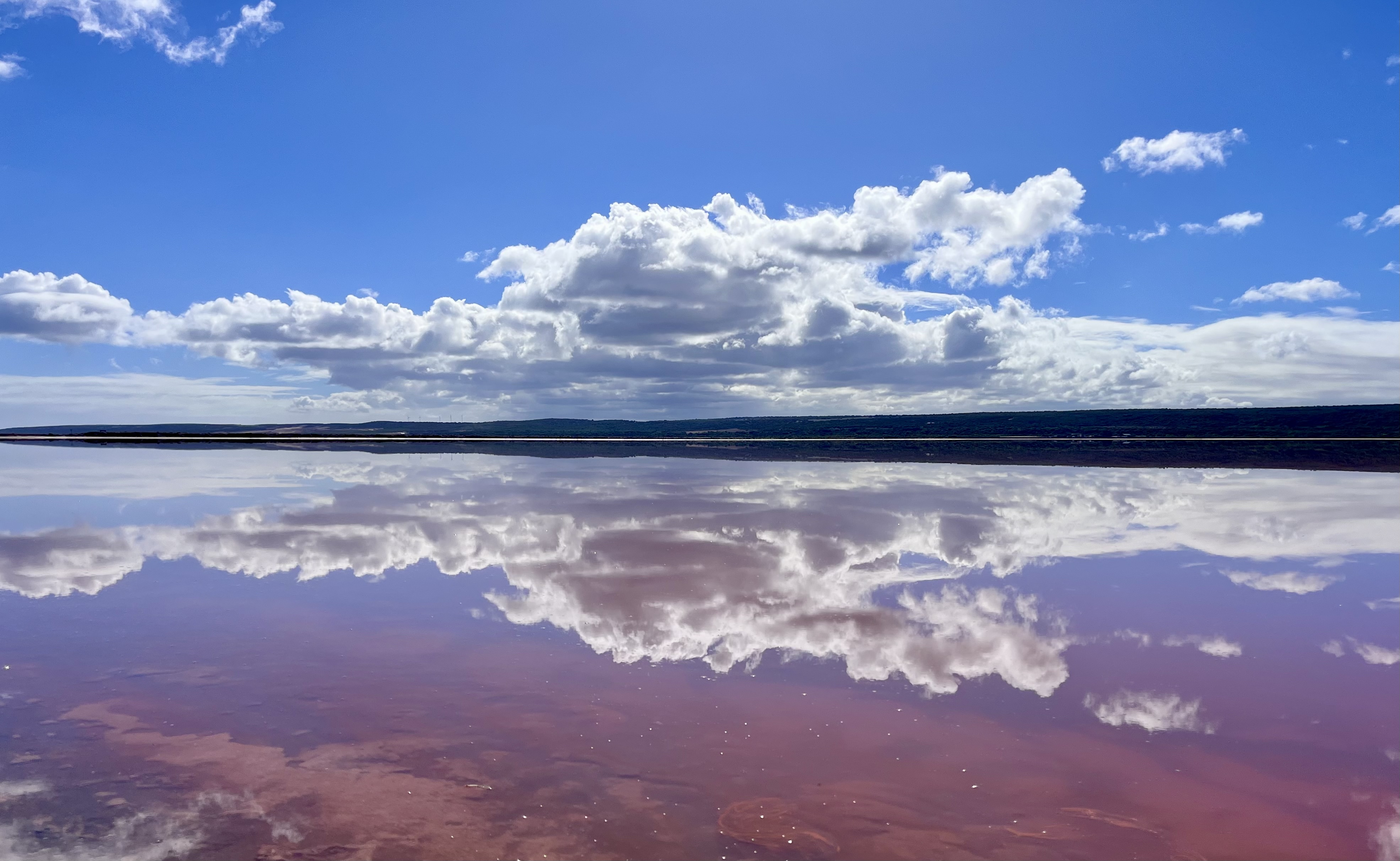 Pink Lake in Hutt Lagoon